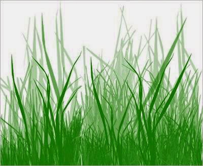 ilmubahasa.net ilmubahasa.net