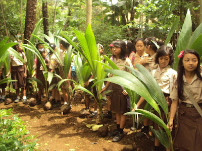 Arti Lambang Tunas Kelapa Gerakan Pramuka Arti Lambang Tunas Kelapa Gerakan Pramuka
