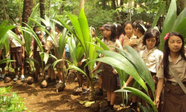 Arti Lambang Tunas Kelapa Gerakan Pramuka Ilmu Bahasa