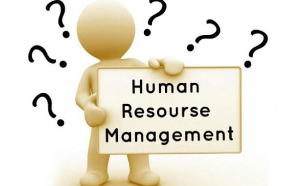 Manajemen Sumber Daya manusia: Pengertian dan Fungsi Manajemen Sumber Daya Manusia